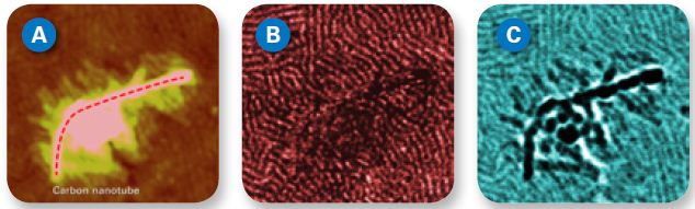 PeakForce TUNA (A) topography, (B) current, and(C) adhesion maps of a semiconducting polymer composite, poly(3- hexylthiophene) (P3HT)with embedded carbon nanotubes. The high resolution in all channels reveals the influence of the embedded nanotube on P3HT lamellar ordering and current pathways. Image size 500nm. Image courtesy of Philippe Leclère et al, University of Mons (UMONS) Belgium.