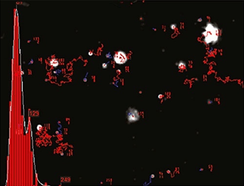 An example of the size distribution profile generated by NTA. The modal size for this sample is found to be approximately 70nm, with larger sized particles also present.