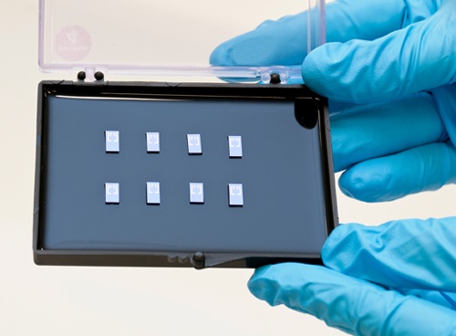 CVD single graphene layers