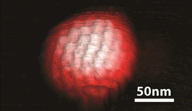 3D topography image of a single herpes simplex virus obtained in ScanAsyst mode in buffer solution