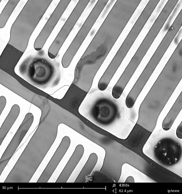 SEM Image of smartphone