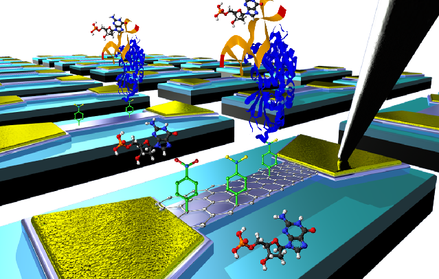 Diagram showing how the functionalised graphene can interact with compounds and proteins in a fluid sample