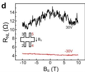 Non-local resistance as a function of in-plane magnetic field for two gate voltages.