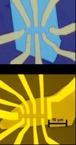 Hall bars (Graphene is not visible)