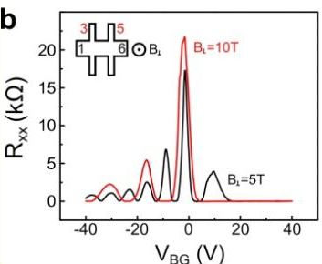 Resistance of graphene in high magnetic field.