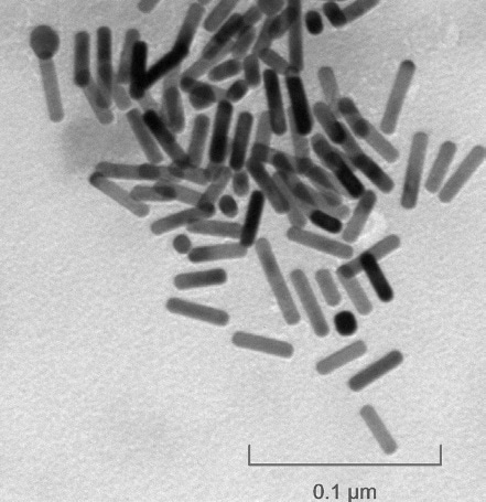 Gold Gemini nanorods, CTAB-free (wavelength 800nm)