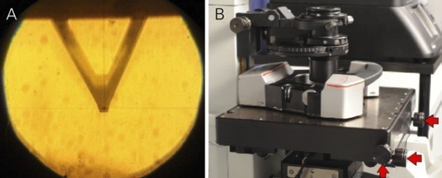 Cantilever with tip in the eyepiece of MicroTime 200 aligned to the cross hair (left image). The coarse positioning can be done by using the three micrometer screws at the sample stage (red arrows in right image).