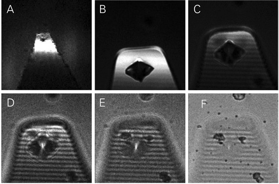 Backscatter images of AFM cantilever with a SiN tip. The bright spot in the image center is the tip apex. After iteratively zooming in and scanning the AFM tip, the laser focus of the MicroTime 200 can be directly positioned at the tip apex. The sample stage is moved 2µm in z-direction for every image B-F.