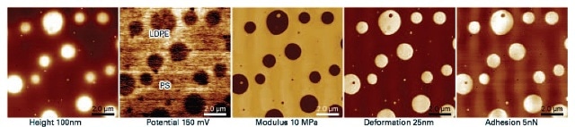 PeakForce KPFM data including height, potential and quantitative mechanical property maps such as Young