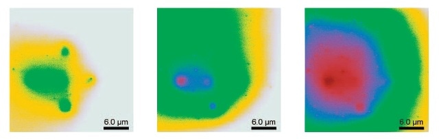 KPFM-HV potential map on PDMS, encasing five previously scanned sites in a square-center arrangement. Sequential images from left to right reveal that the negative charges are accumulating, spreading out and merging with each other as scanning goes on.