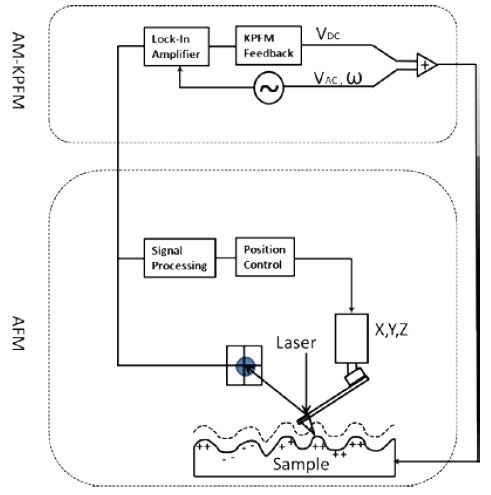 AM-KPFM diagram. An AC bias with a frequency ?, typically the resonant frequency of the cantilever, is applied between the probe and the sample, giving rise to an alternating electric force between the probe and sample that causes the probe to oscillate.
