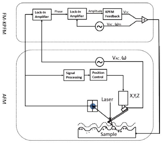 FM-KPFM diagram. An ac voltage is applied to the tapping piezo to oscillate the AFM cantilever at its resonant frequency ?. An AC bias at frequency ?m, usually a few kHz, is applied between the probe and the sample, modulating the resonant frequency. Two cascaded lock-in amplifiers are used to detect the sum amplitude of sideband pair ? ± ?m.