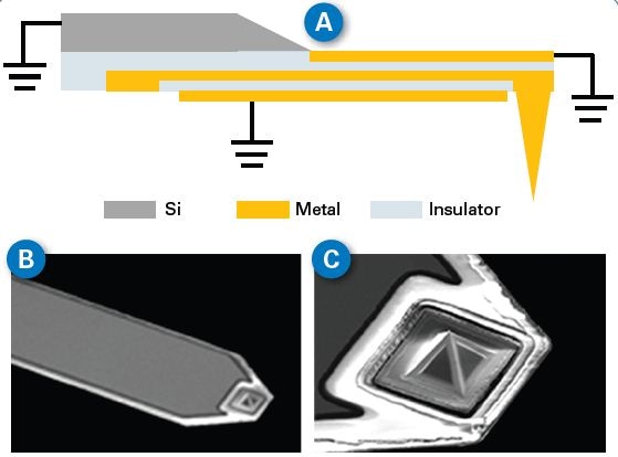 environment. The central metal line transmits the microwave to the tip apex. (B) and (C) are SEM images of a typical sMIM probe.