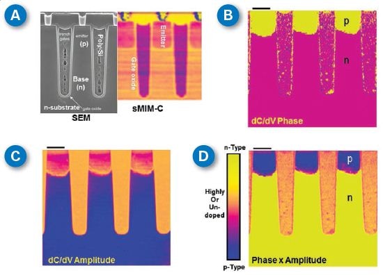 SEM and sMIM studies of an IGBT cross-section-polished sample from Chipworks. (A) Comparison of SEM and sMIM-C results on resolving different materials; (B) sMIM dC/dV phase image; (C) sMIM dC/dV amplitude channel; and (D) An image constructed from (B) and (C), similar to a traditional SCM image. Scale bar is1 µm. SEM image courtesy of Chipworks.