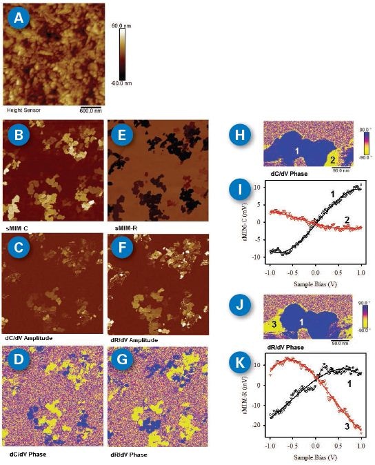 sMIM images and local capacitance- / resistance-voltage spectroscopy of a ?-Fe2O3 nanoparticle sample. (A) Topography shows 100 nm x 500 nm spindle particles; (B) sMIM-C reveals the location permittivity variation; (C) dC/dV amplitude; (D) dC/dV phase indicates different dopant polarities; (E) sMIM-R demonstrates different local conductivities; (F) dR/dV amplitude; (D) dR/dV phase; (H) highresolution dC/dV phase image; (I) site-specific capacitance-voltage spectroscopy. Locations are indicated in (H); (J) high-resolution dR/dV phase image at the same location as (H); (K) site-specific resistance-voltage spectroscopy.