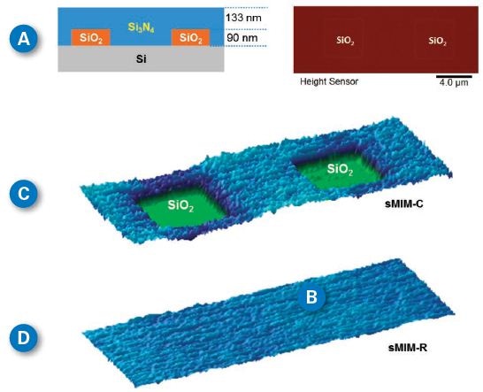 (A) A buried structure reference sample was fabricated on a Si wafer. 90nm thermal SiO2 was grown on the wafer and patterned. 1um LPCVD Si3N4 was deposited to fully cover the SiO2. Chemical mechanical polishing was used to polish the sample until the Si3N4 was about 223 nm; (B) The topography of the polished reference surface with a roughness of 0.44 nm in the imaged area. (C) and (D) are sMIM-C and sMIM-R channels respectively. As expected, contrast only appears in the dielectric channel (sMIM-C) and vanishes in the conductivity channel (sMIM-R).