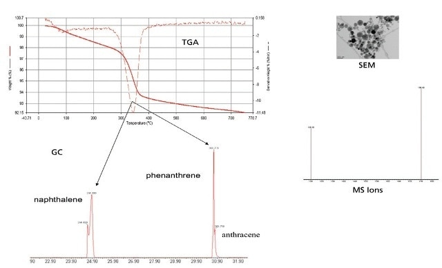 TGA-GC-MS data with SEM image.