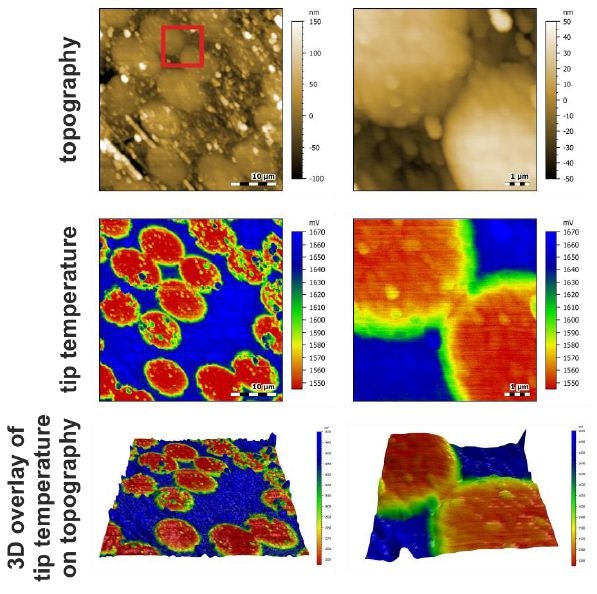 Thermal Conductivity Mapping on PolymerEmbedded Carbon Fibers