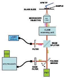 Schematic of the set-up used by Schmid and co-workers for acquisition of TERS spectra.
