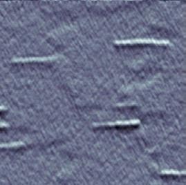 AFM image of the investigated QWRs
