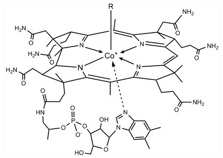 Molecular structure of vitamin B12.