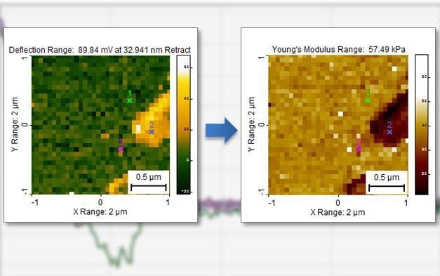 SPIP™ can generate Young’s modulus maps, constant force maps, and more