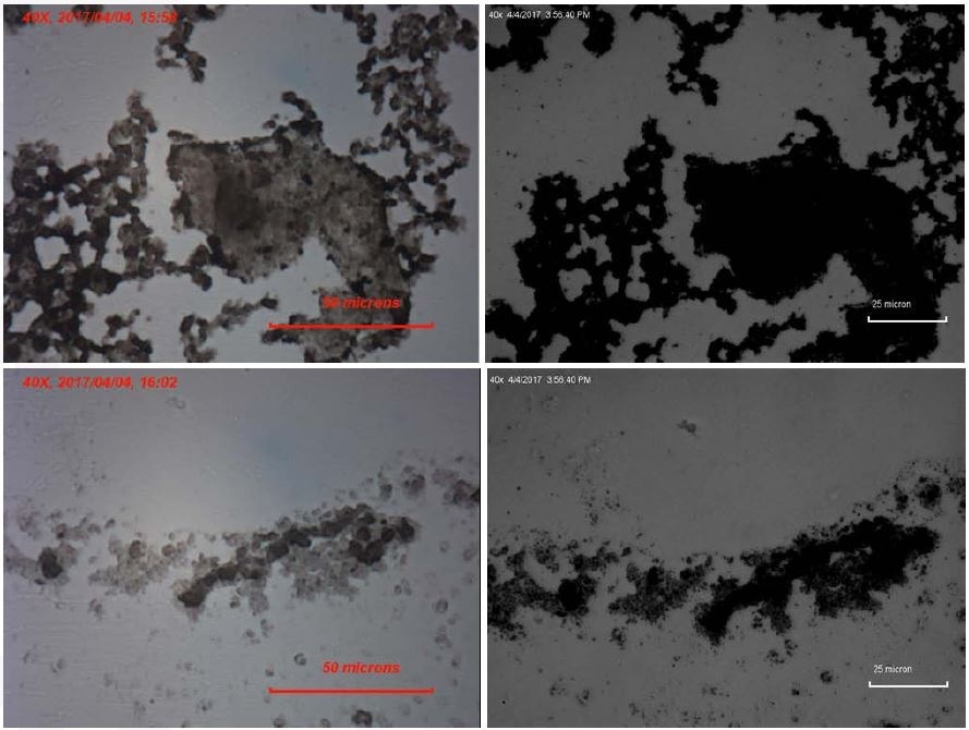 Ultraviolet Microscopy