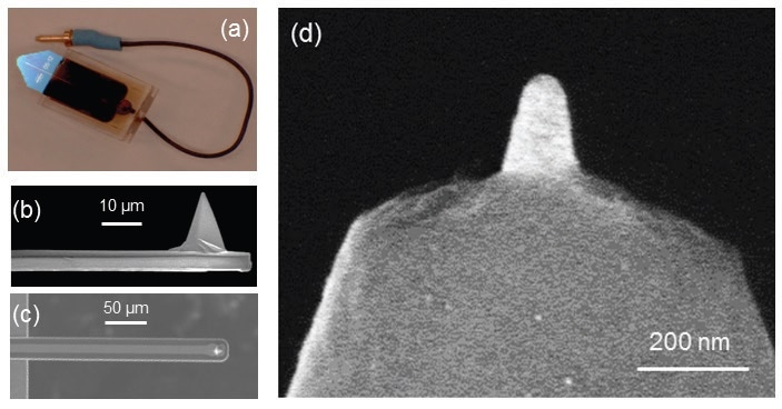 (a) Pre-mounted PeakForce SECM probe; (b) SEM side view image of the cantilever; (c) SEM top view image of the cantilever showing the 15-µm-wide Pt conductive path; (d) SEM image revealing exposed Pt-coated tip apex with ~50 nm endtip diameter and ~200 nm tip height (adapted from Nellist et al., Nanotechnology, 2017, 28(9), 095711, IOP Publishing30).