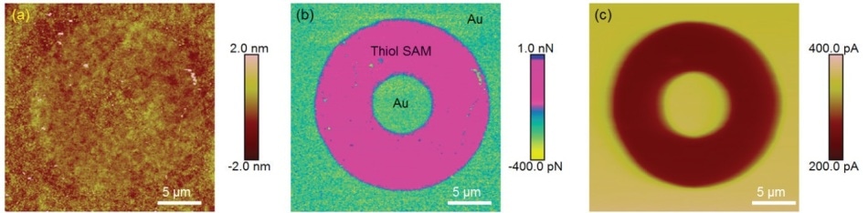 PeakForce SECM images of micro-contact printed CH3-thiol self-assembled monolayer (SAM) on an Au substrate: (a) topography; (b) adhesion; and (c) electrochemical activity. Solution, 5 mM [Ru(NH3)6]3+ and 0.1 M KNO3 (adapted and modified from Huang, Z. et al.32).