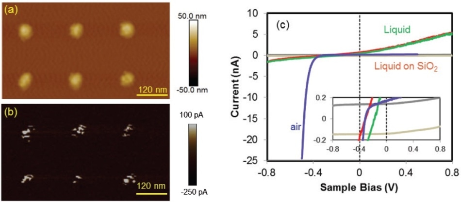 High-resolution PeakForce TUNA in de-ionized H2O measurement for conductivity mapping of an Au nanoelectrode array sample: (A) topography; (B) current map at +0.3 V; and (C) comparison of I-V characteristics of the semiconductor/metal junction in air (blue) and liquid (green-red). The background current in liquid is captured by landing the probe at the oxide region (grey). Voltage ramp rates of 400 mV/s were employed. For each measurement, the voltage was cycled for both the forward and backward ramping and the curves were plotted together (adapted and modified from Huang, Z. et al.32).