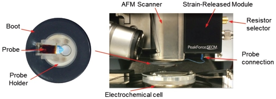 PeakForce SECM accessories with a pre-mounted nanoelectrode probe loaded. (adapted from Huang, Z. et al.32).