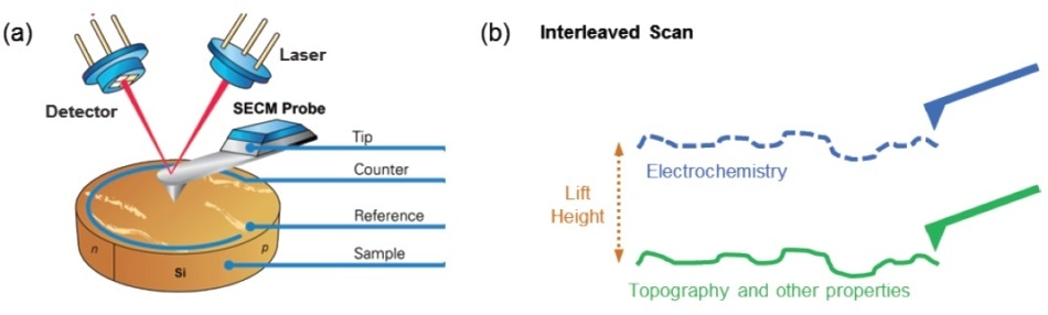 a) Schematic illustration of a PeakForce SECM system showing the major mechanical and electronic components; and (b) an illustration of interleaved scanning mode.