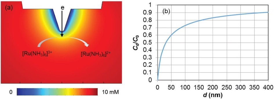 (a) COMSOL simulation of the [Ru(NH3)6]3+ concentration profile; (b) a normalized concentration profile from the electrode surface following the center axis. Cd is the [Ru(NH3)6]3+ concentration at a distance, d, from the electrode surface, and C0 is the bulk [Ru(NH3)6]3+ concentration. Simulation conditions are 10 mM [Ru(NH3)6]3+ and 10 mM [Ru(NH3)6]2+ in the bulk, and the probe is 1 mm away from an insulating substrate.