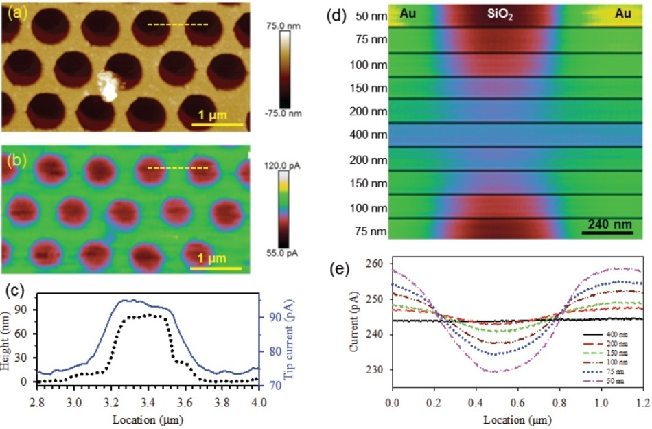 PeakForce SECM images of a Au-SiO2 nanomesh electrode prepared by nanosphere lithography: (a) topography of the Au pattern on the SiO2 substrate; (b) electrochemical map captured in the lift scan, while following the sample topography at a separation of 75 nm; (c) line profiles of both the topographic height and electrochemical current at the same location, labeled by the yellow dashed lines in (a) and (b); (d) tip current at sequentially varied lift heights as indicated in the image (tip and sample potentials were -0.1 V and -0.4 V vs Ag/AgCl, respectively); (e) the tip current contrast is clearly illustrated by cross-sectional analysis (adapted from Nellist et al., Nanotechnology, 2017, 28(9), 095711, IOP Publishing30).