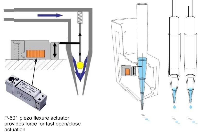 Principle design of a high-speed precision dosing valve for micro-liter to picoliter applications. Piezo mechanics are stiffer and can move faster than solenoids. Piezo flexure amplified actuators provide motion ranges of several 100µm and extremely fast mechanical response to drive signal changes in the order of milliseconds and below. The high speed combined with the virtually unlimited position resolution in the nanometer range provides advantages in open/close speed of valves and also in the dosing precision. (Image: PI)