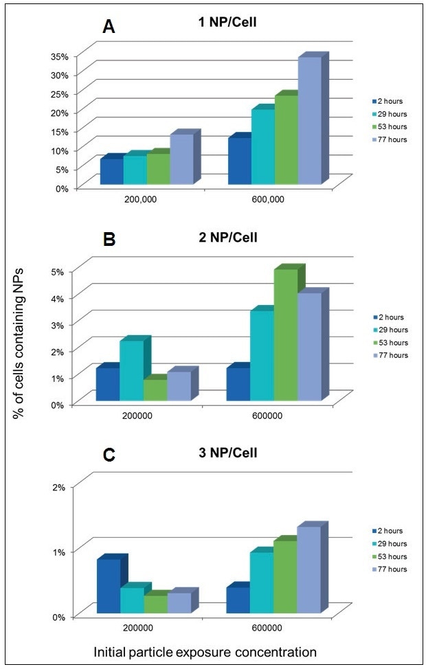 Percentage of cells containing 1 (A), 2 (B), and 3 (C) NPs per cell over time as a functions of NP concentration in the exposure media.