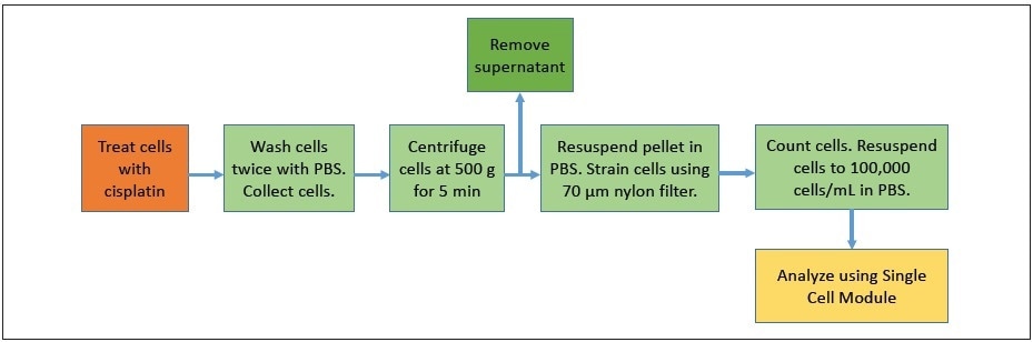 Schematic showing sample preparation steps.