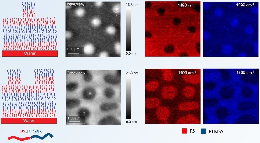Left figures show cross-sectional cartoon view of the BCP. The following images are surface topography and PiFM images at 1493 cm-1 and 1599 cm-1 to identify PS and PTMSS molecules. PS and PTMSS molecules are colored artificially red and blue respectively, to be consistent with the cartoon colors.