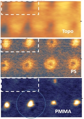 Figure 3 PiFM images of DSA structure from a different region reveal that defects can be identified with the aid of PiFM even though AFM topography shows similar features as structures without defect.