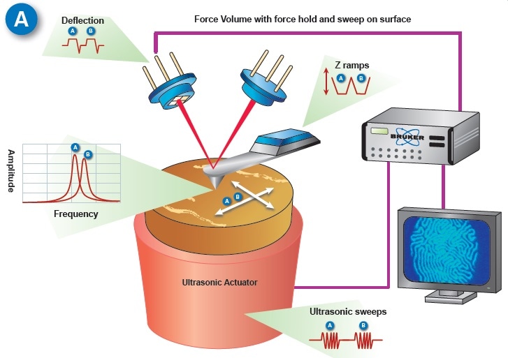 (a) Operating principle of FASTForce Volume CR; (b) The effect of material properties on contact resonance frequency and quality factor, showing material 2 has higher stiffness and lower dissipation than material 1.