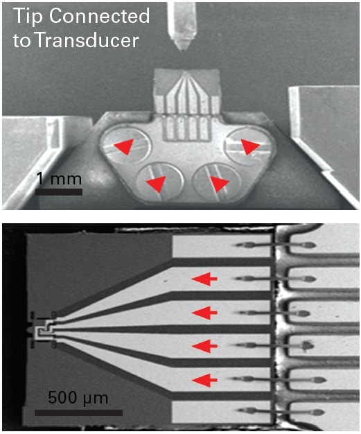 E-PTP mounted on the Hysitron PI 85L. Four screws (top) and gold leads (bottom) marked in red indicate the electrical connections for four probes.