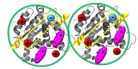 Non-specific protein-protein interactions arise from hard-core repulsion, net charge, charge homogeneities, local dipoles, hydrophobic residues and another source. To first order they are quantified by the second virial coefficient, A2 (measured by SLS), or its proxy, kD (measured by DLS).