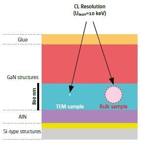 Top down view of the studied sample