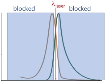 Fluorescence-blocking filters transmit only a narrow band of wavelengths centered on the laser wavelength?exc.