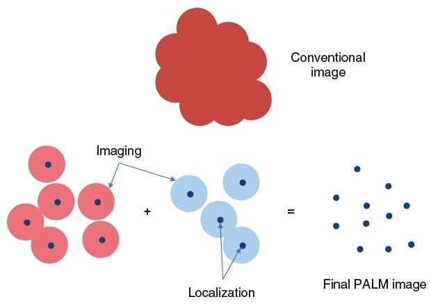 Conventional imaging relies on the detection of irradiance from multiple sources of light from an object at the same time. The overlapping point spread functions lead to blurring (top). However, if the object points emit at different times through fluorescence, they are distinguishable and can be precisely localized at less than the diffraction limit. The final image is reconstructed from a sequence of such time-varying fluorescence images.