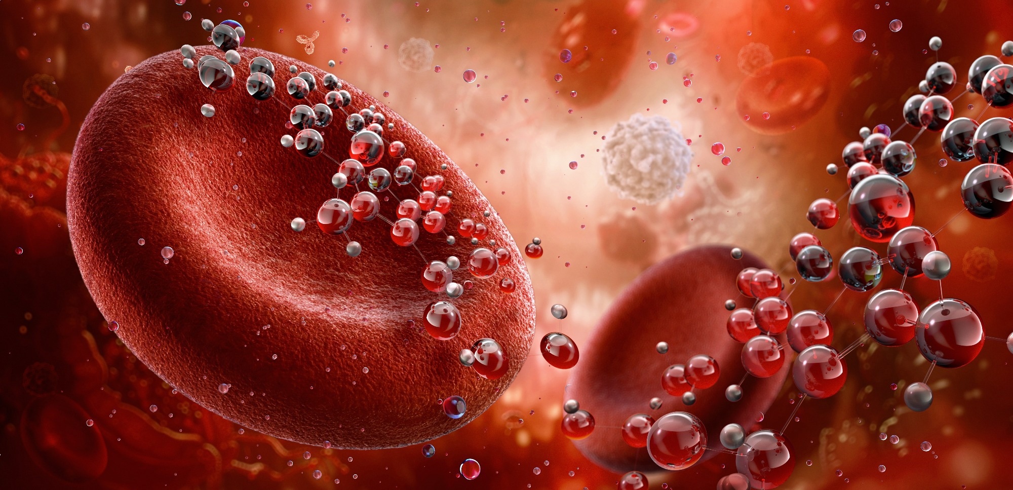 Blood cells and medical particle render in the vessel.