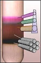 A Carbon Nanotube Density Gradient