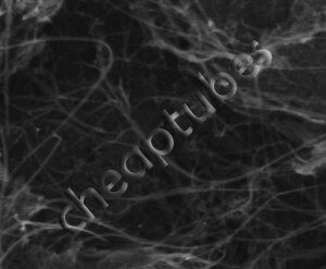 An SEM Image of our SW/DWNTs 99% Product