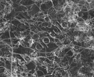 An SEM Image of Our Multi Walled Carbon Nanotubes