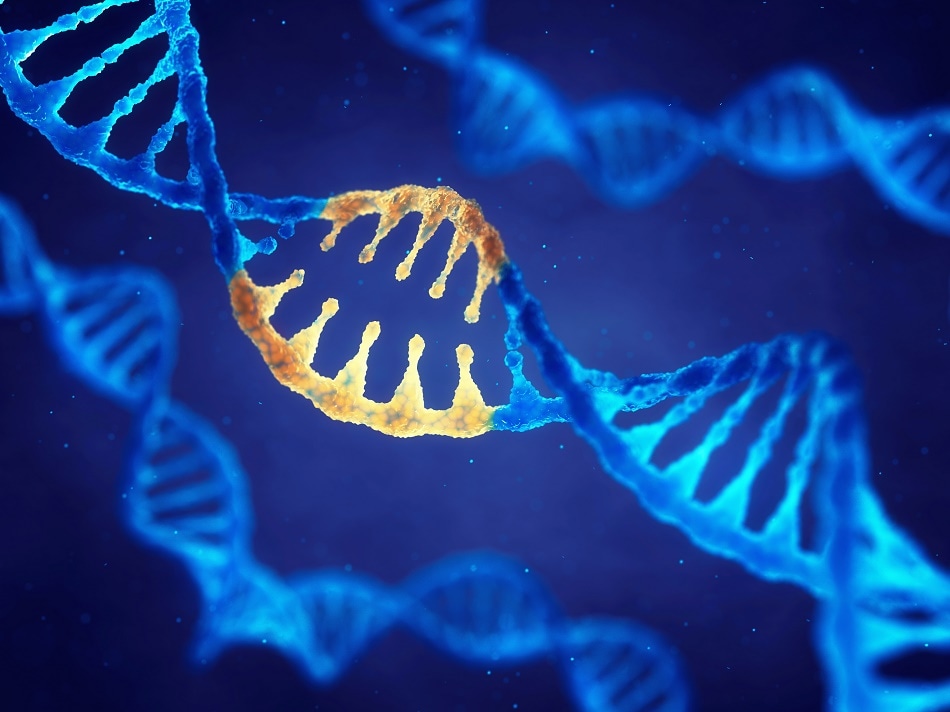 Nanotechnology And Biotechnology Similarities And Differences - 